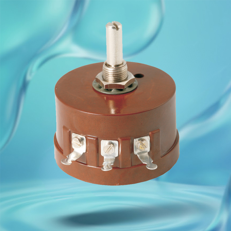 Single Turn Wire Wound Potentiometer R.W-5