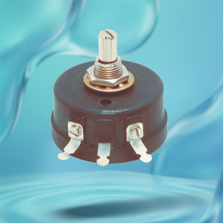 Wire Wound Potentiometer - SR.W-3
